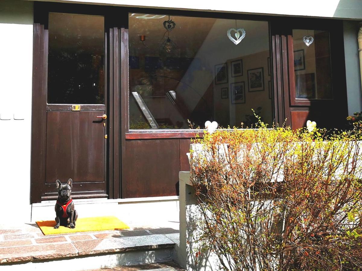 Dapolo - Cosy Appartment In Val Di Fassa Campestrin Ngoại thất bức ảnh